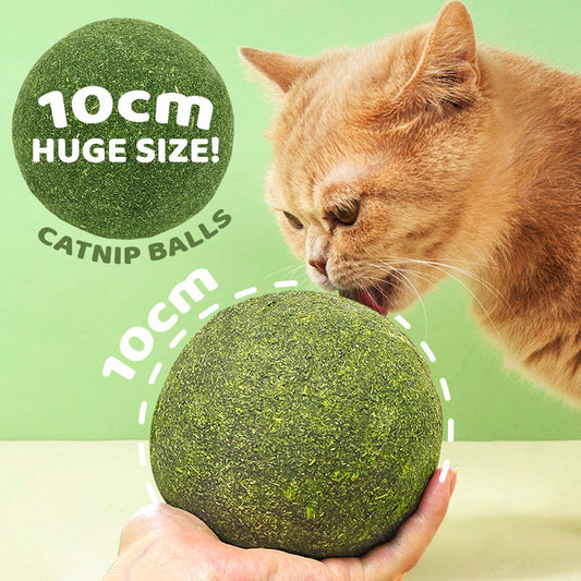 Hatalmas macskamenta labdák | Hagyja, hogy macskája imádja