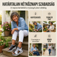 👡🏖️ Női Vastag Talpú Strandpapucs: Kifogástalan Kényelem és Nyitott Orrú Dizájn! 🛍️
