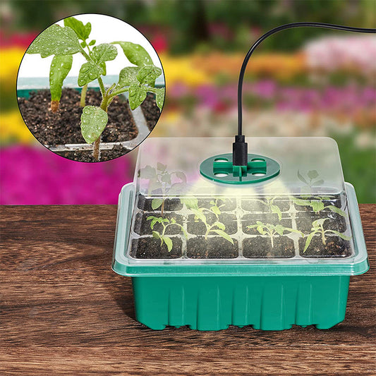🌱 Okos Csíráztató Tálca Beépített Fénnyel – Friss Zöldek Télen is! 💡✨