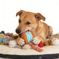 Interactive Rolling Ball Toy for Dogs