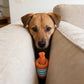 Interactive Rolling Ball Toy for Dogs