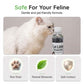 🌿 7 Napig Friss Otthon: Illatos Alomszagtalanító Gyöngy Macskáknak 🐈