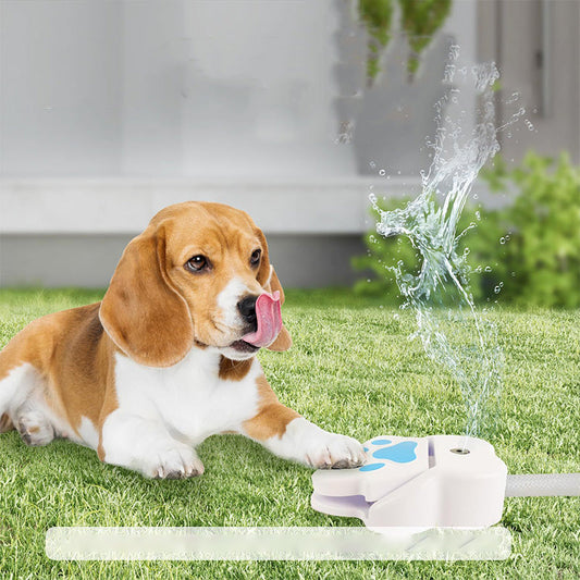🐾 Juguete de Agua para Perros con Pedal: ¡Pisa y Salpica! – ¡En Stock! 💦