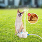 🐾 Juguete de Agua para Perros con Pedal: ¡Pisa y Salpica! – ¡En Stock! 💦