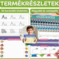 🖍️ Varázsos barázdált írásgyakorló – Újraírható, fejlesztő készlet